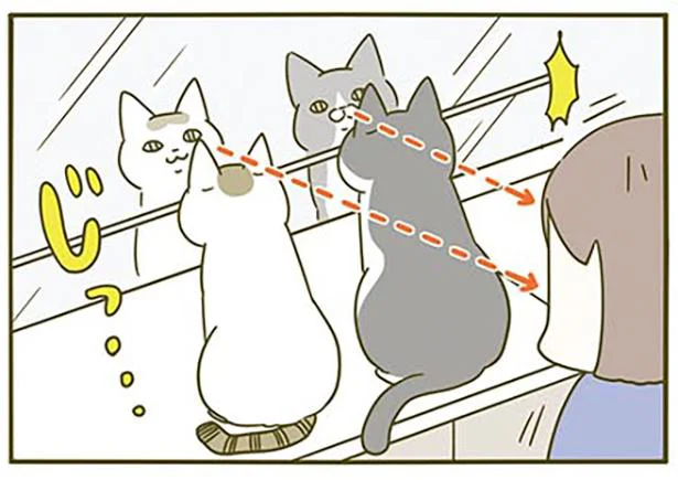 鏡越しに私を見てる…!?