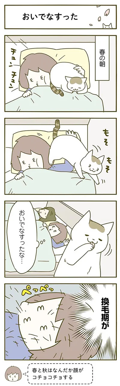 【画像を見る】おいでなすった