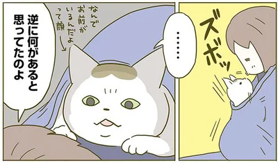 飼い主に対する態度が雑