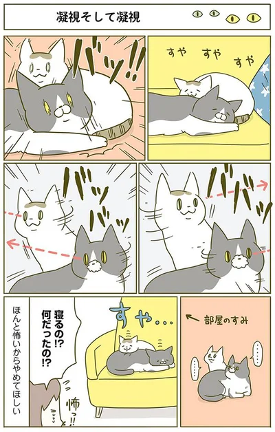 凝視そして凝視