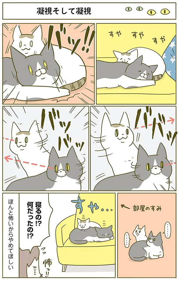 何その不満顔 飼い主に対する態度が雑なシノさん うちの猫がまた変なことしてる 2 6 レタスクラブ 何その不満顔 飼い主に対する態度が雑なシノさん うちの猫がまた変なことしてる 2 6 レタスクラブ