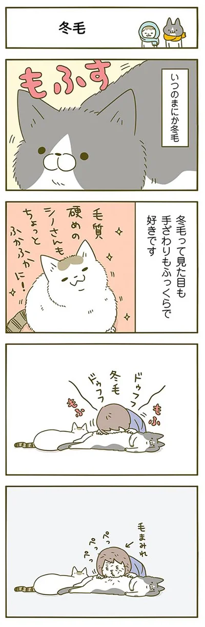 2匹の冬毛