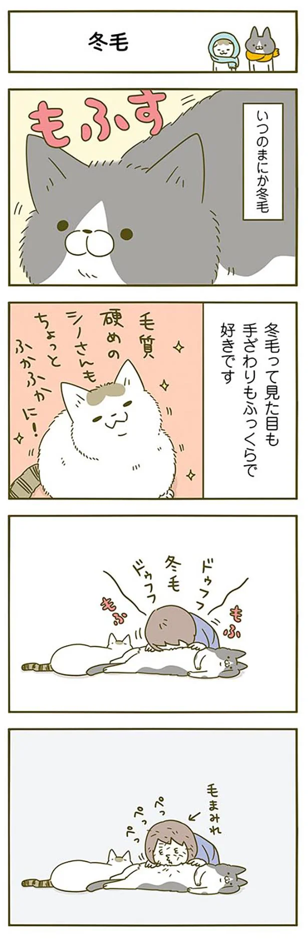 2匹の冬毛