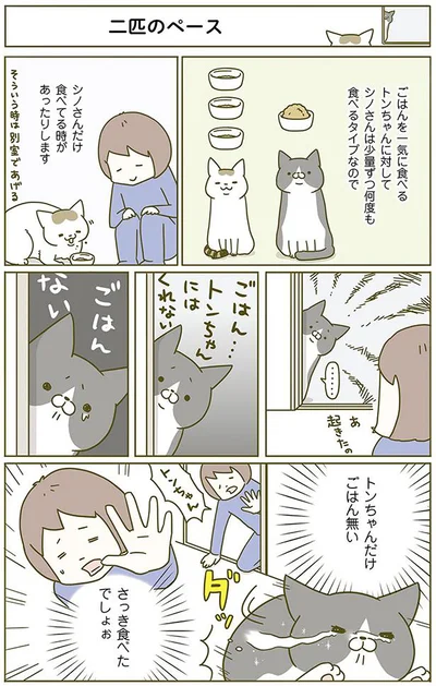 【画像を見る】2匹のペース