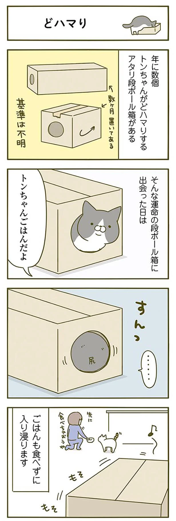 【画像を見る】どハマり