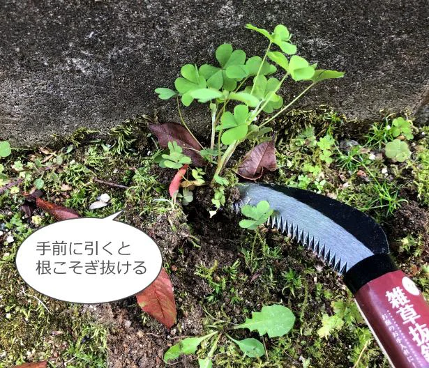 これ、思いがけず良かったです。効率よく草が抜ける力強いアイテム