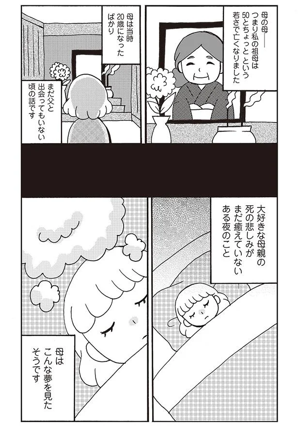 母はこんな夢を見たそうです