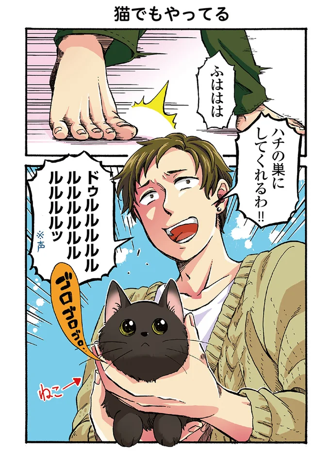 猫もマシンガンに お兄様は猫への愛も全力 うちの兄貴の様子がおかしい 3 レタスクラブ 猫もマシンガンに お兄様は猫への愛も全力 うちの兄貴の様子がおかしい 3 レタスクラブ