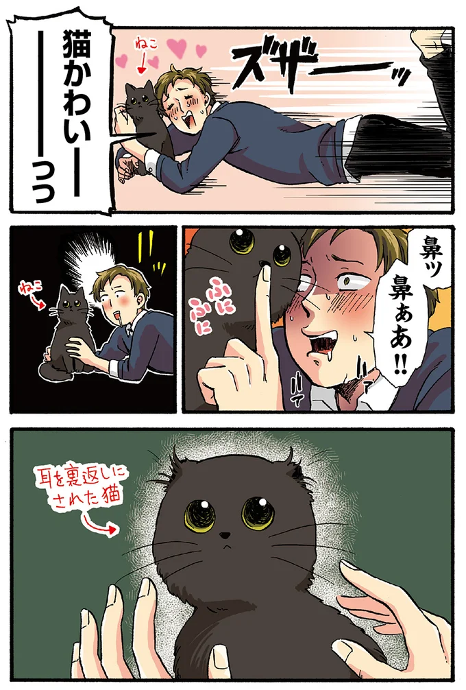 猫かわいーーー