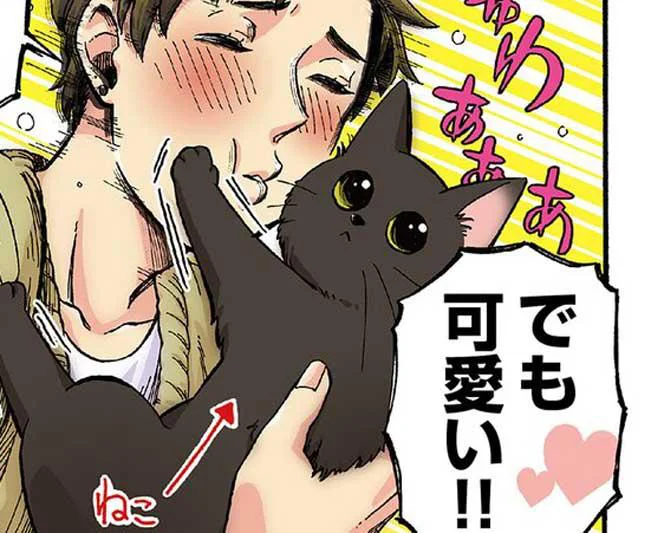 猫もマシンガンに!?お兄様は猫への愛も全力！／うちの兄貴の様子がおかしい。（3）