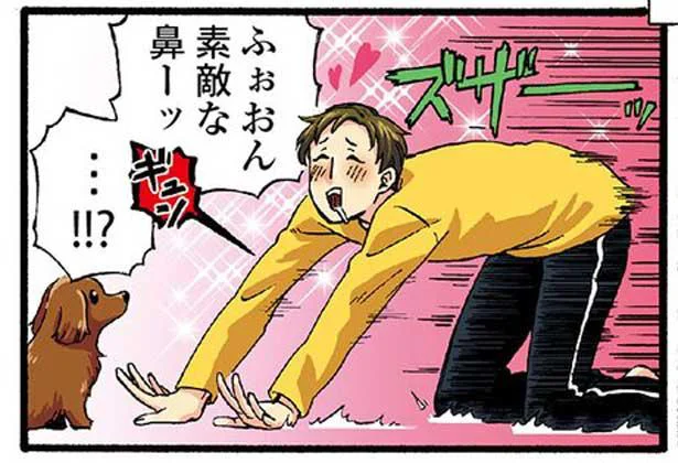 スライディング犬の鼻タッチをしようとしたらズボンが焦げた!?／うちの兄貴の様子がおかしい。（5）