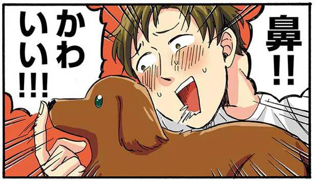 やはり犬の鼻の魅力には勝てなくて…お兄様と永遠に成立しない会話／うちの兄貴の様子がおかしい。（8）