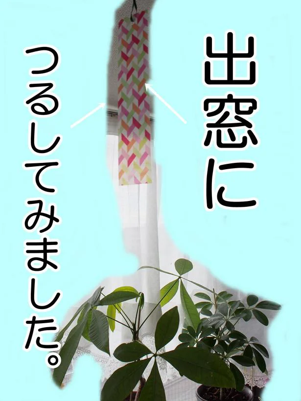 植物の近くにつるして効果を見守ります