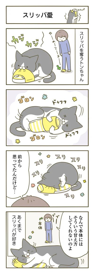 【画像を見る】あくまで好きなのはスリッパ