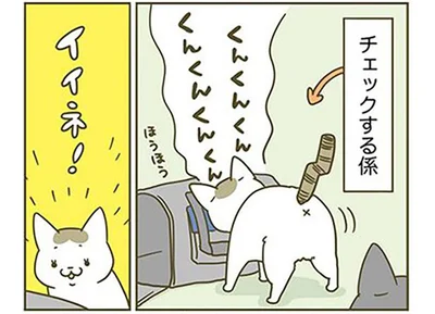 新しい猫用キャリーをチェック！