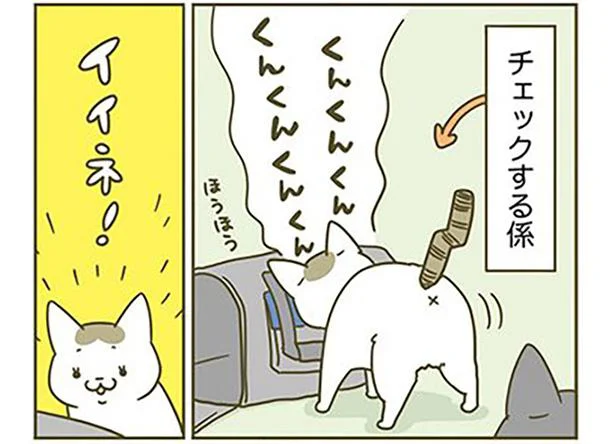 新しい猫用キャリーをチェック！