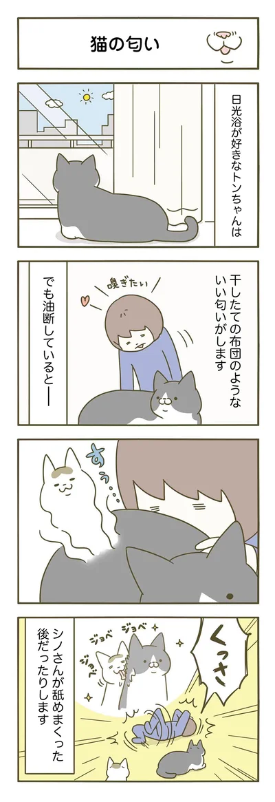 【画像を見る】そのにおい、猫の口臭です