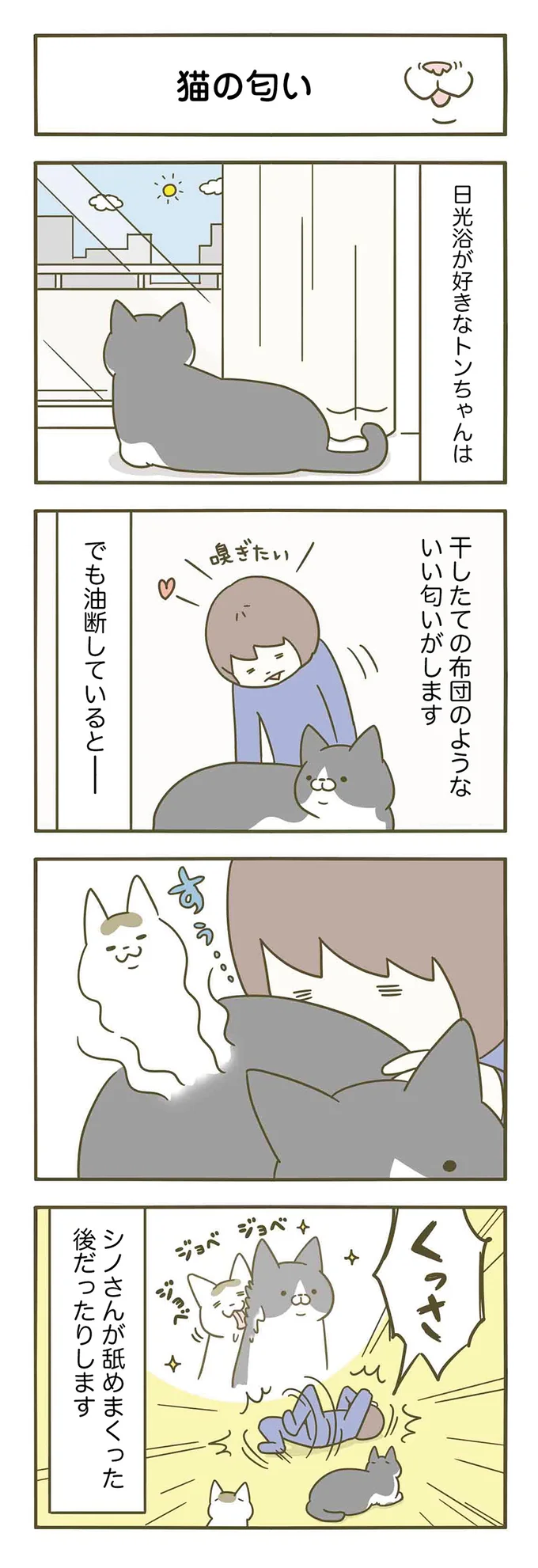 【画像を見る】そのにおい、猫の口臭です