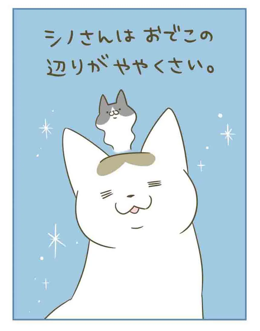 油断は禁物！ 干したてのお布団の匂いを求めていたのに…／うちの猫が