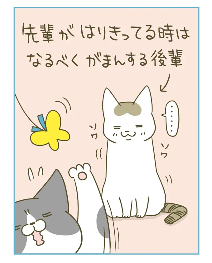 後輩はがまん