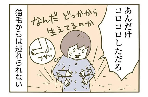 コロコロでいくら取っても逃げられない…