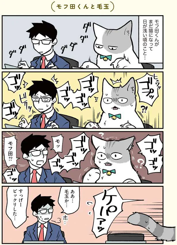 毛玉か…ビックリした…