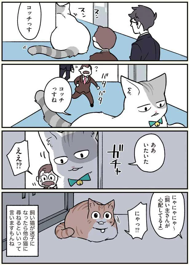 にゃにゃにゃ～