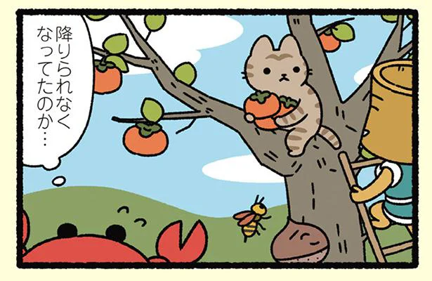 降りられなくなってただけか…　「さるかに合戦なねこ」／にゃんと！ねこむかしばなし（5）