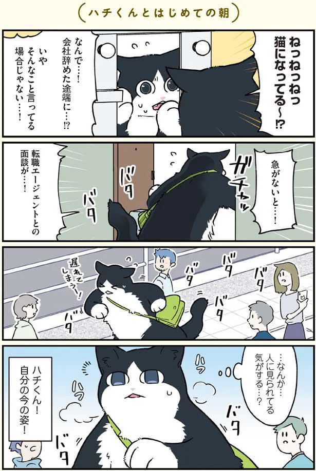 ねっねっねっ猫になってる~!?
