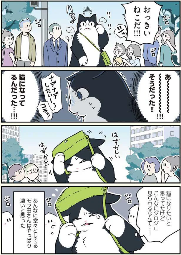 猫になってみてわかった モフ田さんの凄さ ブラック企業の社員が猫になって人生が変わった話3 ハチ谷くんと時々モフ田くんの場合 2 レタスクラブ 猫になってみてわかった モフ田さんの凄さ ブラック企業の社員が猫になって人生が変わった話3 ハチ谷くんと時々モフ田くんの場合 2 レタスクラブ