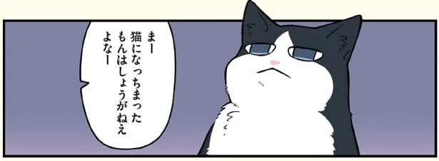 人と暮らす猫の大変さを実感するハチくん／ブラック企業の社員が猫になって人生が変わった話3(ハチ谷くんと時々モフ田くんの場合)（4）