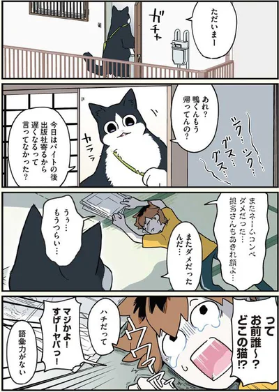 ただいま～って、どこの猫！？