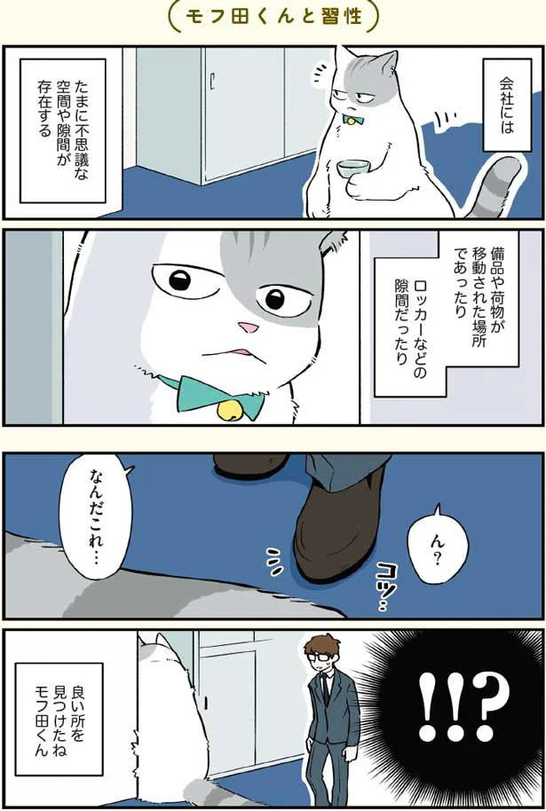 良い所を見つけたね、モフ田くん