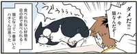 猫になって3週間、ハチくんが一番辛いと思ったこと／ブラック企業の社員が猫になって人生が変わった話3(ハチ谷くんと時々モフ田くんの場合)（7）