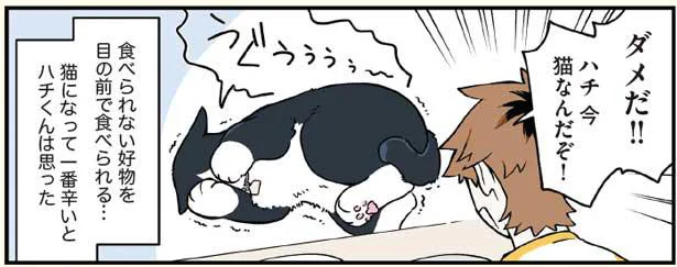 猫になって一番辛い…