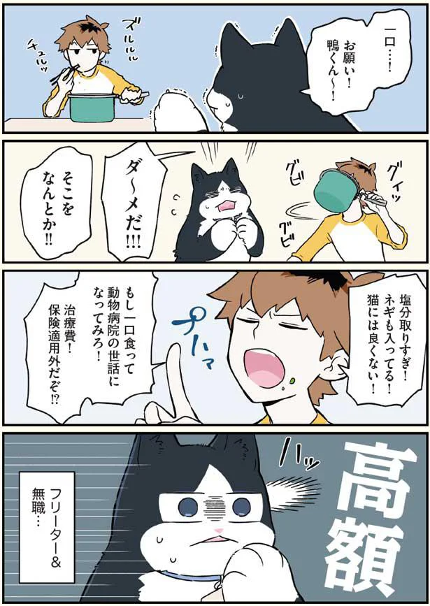 猫には良くない！