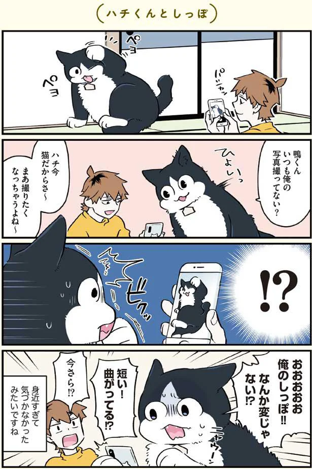 俺のしっぽ!なんか変じゃない!?