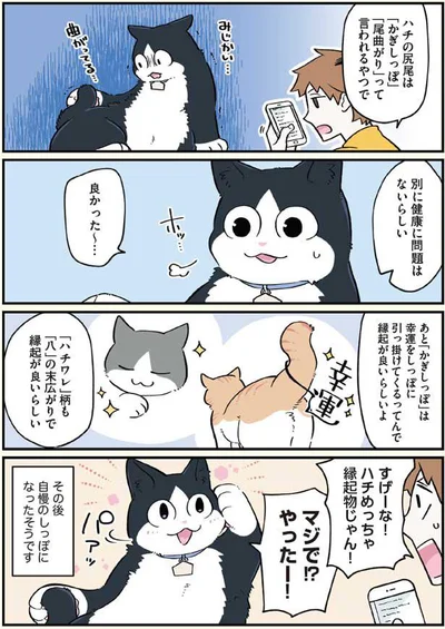 めっちゃ縁起物じゃん！