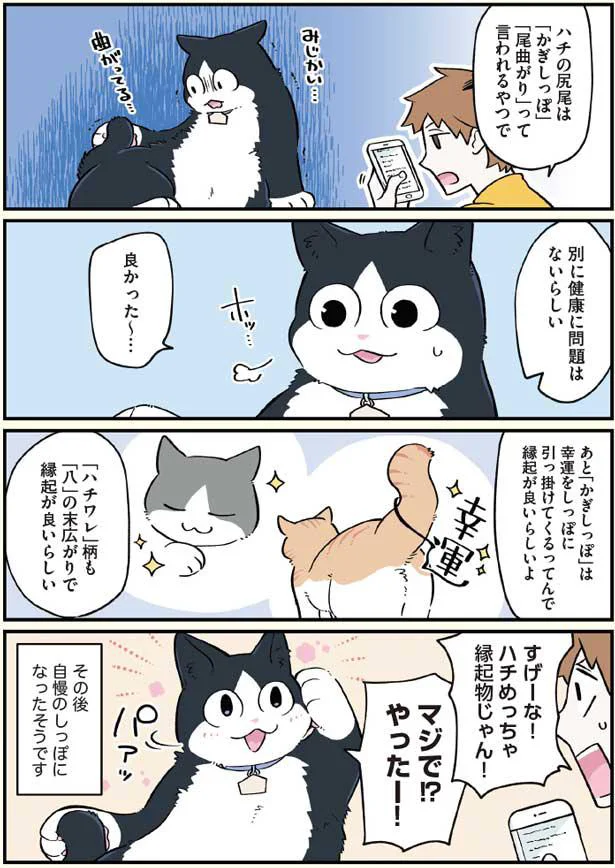 身近過ぎて気づかなかった ハチくんの自慢のしっぽ ブラック企業の社員が猫になって人生が変わった話3 ハチ谷くんと時々モフ田くんの場合 8 レタスクラブ 身近過ぎて気づかなかった ハチくんの自慢のしっぽ ブラック企業の社員が猫になって人生が変わった話3 ハチ谷くんと時々モフ田くんの場合 8 レタスクラブ
