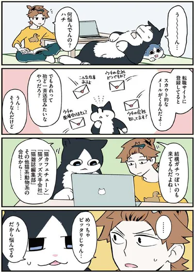 猫系動物系の会社から本気のスカウトメール