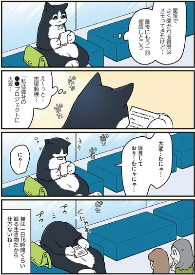 猫は一日16時間くらい眠る生き物だから…