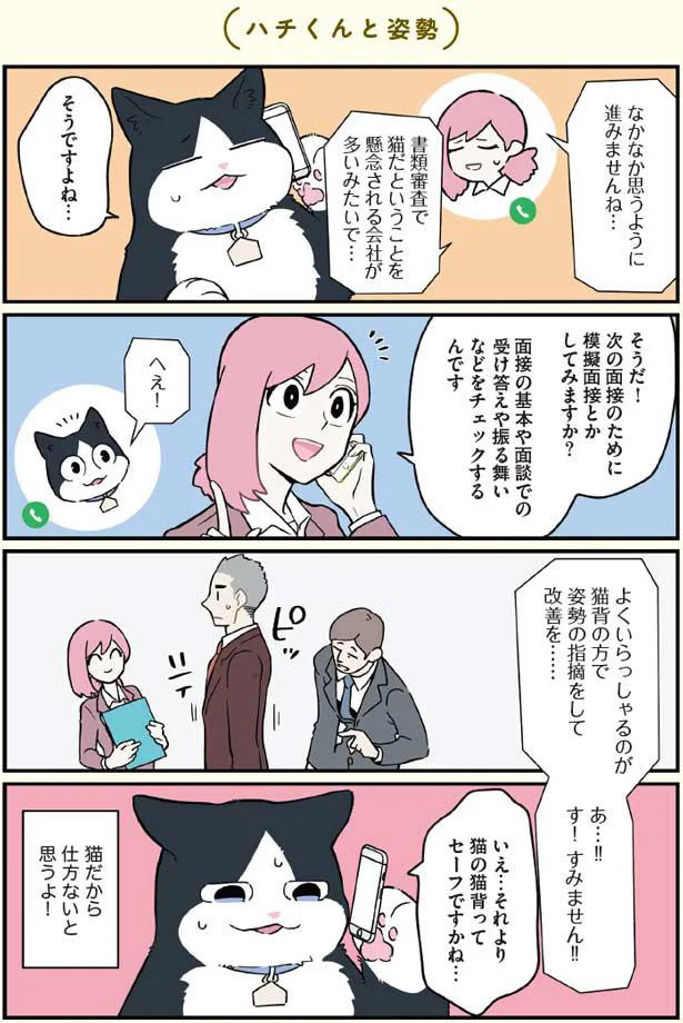 猫だから仕方ない