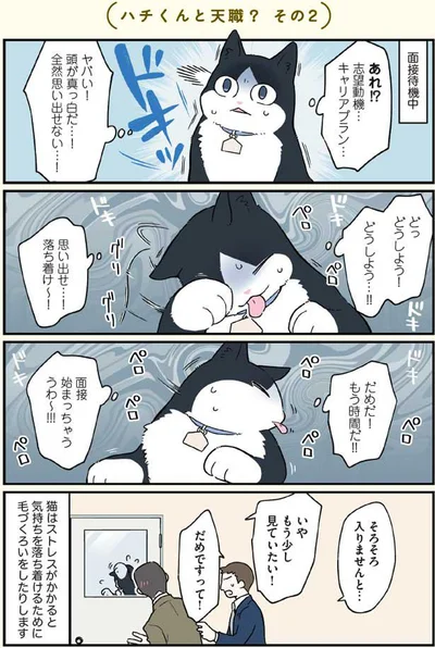 面接始まっちゃう、うわ～！！