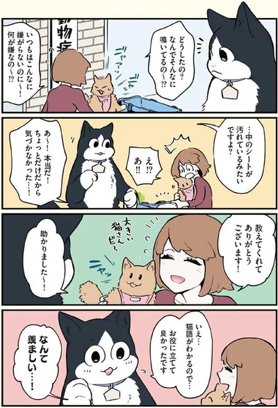 お役に立てて良かったです