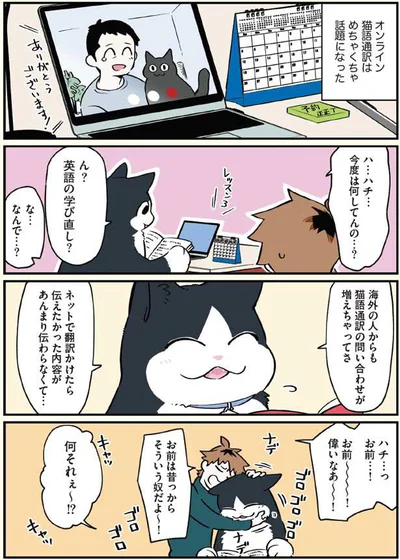 オンライン猫語通訳はめちゃくちゃ話題になった