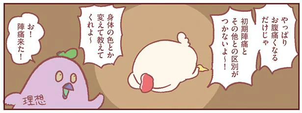 陣痛と腹痛の区別がつかず病院へ…でもそのくらい慎重のほうがいい!