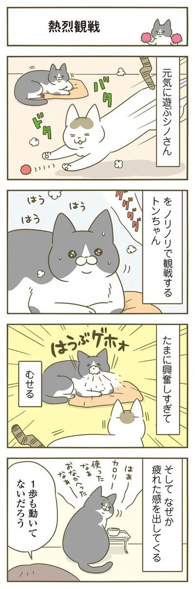 【画像を見る】熱烈観戦