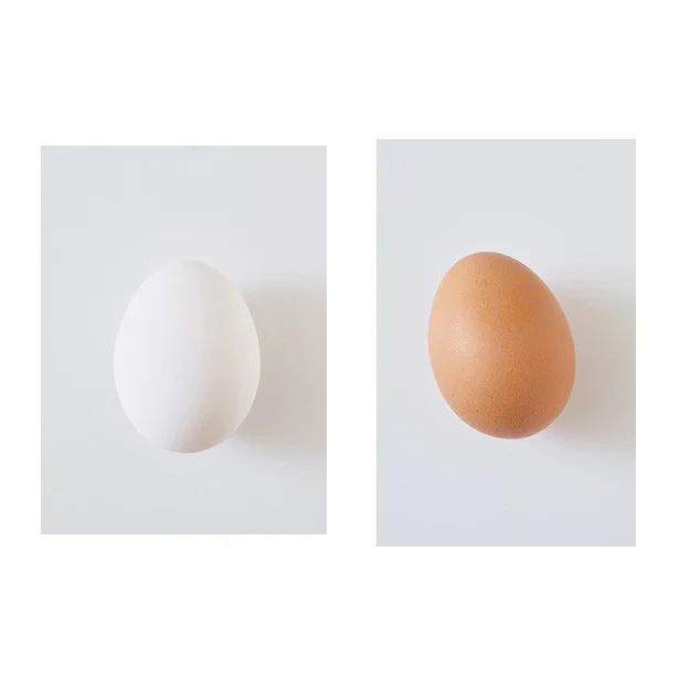 白い殻と茶色い殻。どっちの卵にしようか悩んだことありませんか？