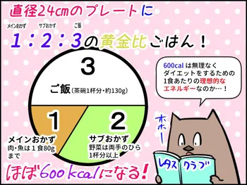 「ダイエットに～はNG」はない!? 鶏ももカレーの「やせ献立」でストレスなしで続けられる黄金比ごはん