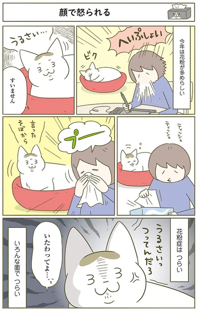 顔で怒られる